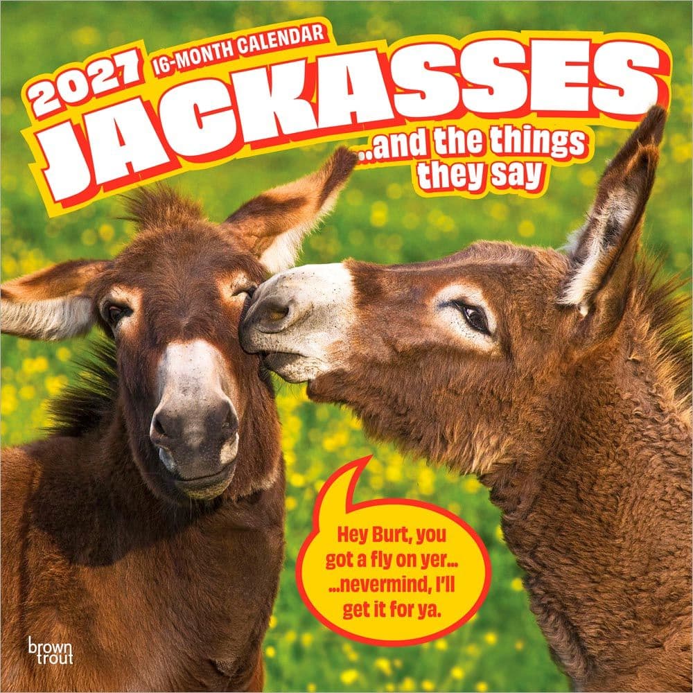 Jackasses 2027 Wall Calendar Main Product Image