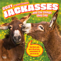 image Jackasses 2027 Wall Calendar Main Product Image