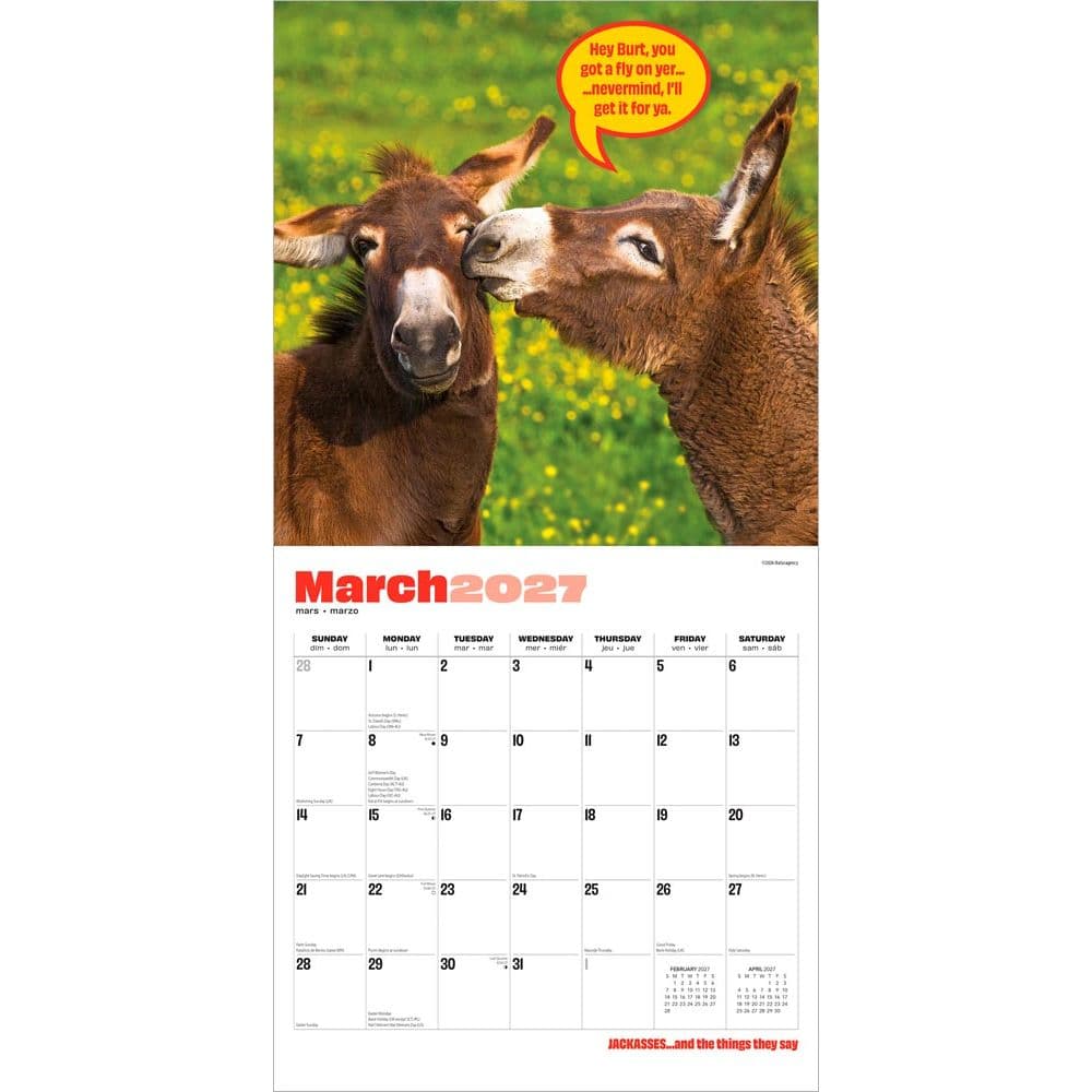Jackasses 2027 Wall Calendar Second Alternate Image