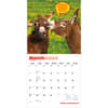 image Jackasses 2027 Wall Calendar Second Alternate Image
