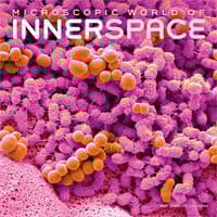 image Innerspace 2027 Wall Calendar Main Product Image