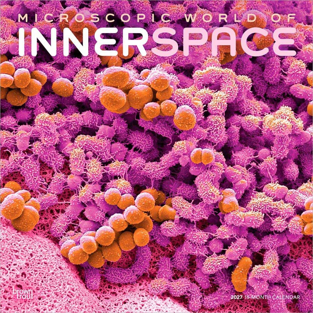 image Innerspace 2027 Wall Calendar Main Product Image