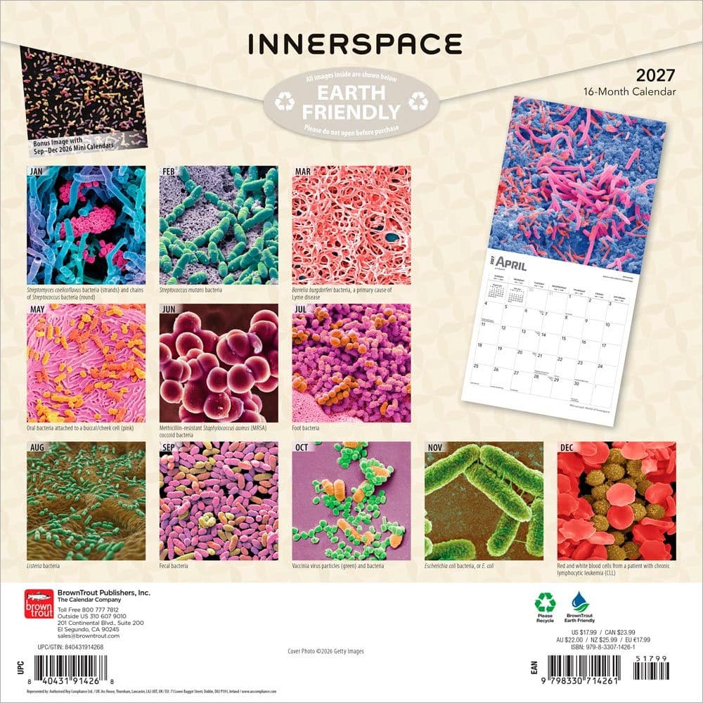 Innerspace 2027 Wall Calendar First Alternate Image