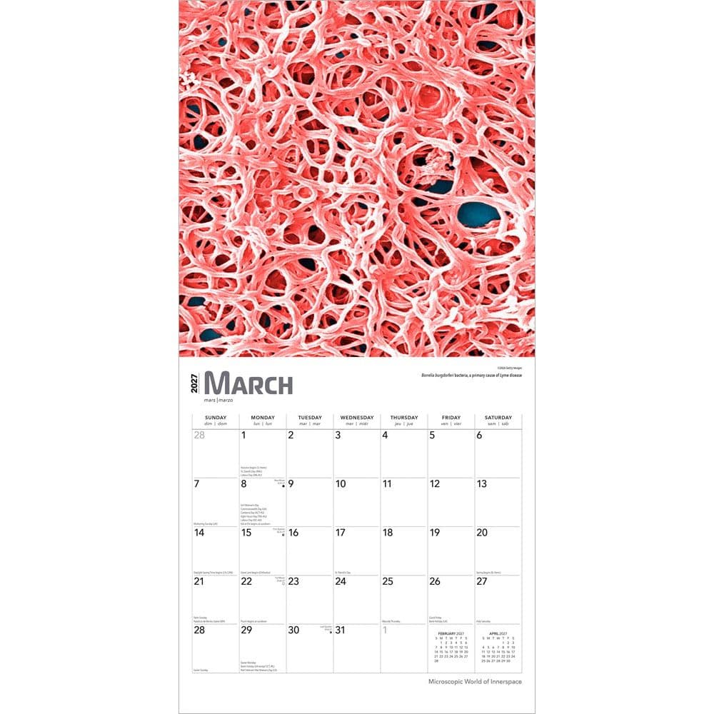 Innerspace 2027 Wall Calendar Second Alternate Image