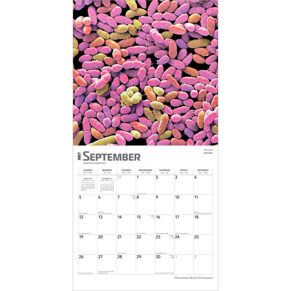 Innerspace 2027 Wall Calendar Third Alternate Image