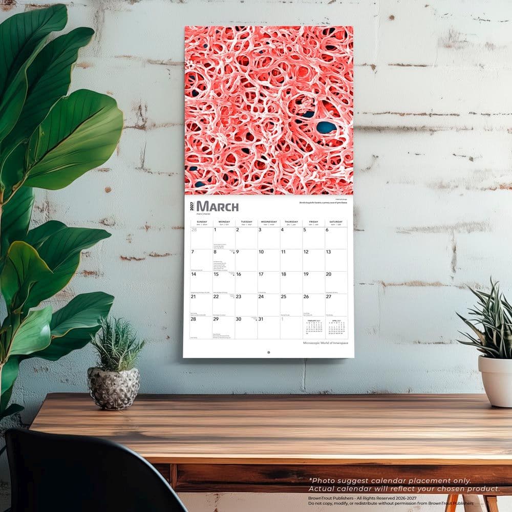 Innerspace 2027 Wall Calendar Fourth Alternate Image