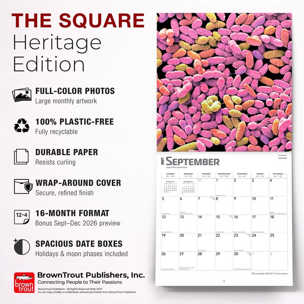 Innerspace 2027 Wall Calendar Fifth Alternate Image