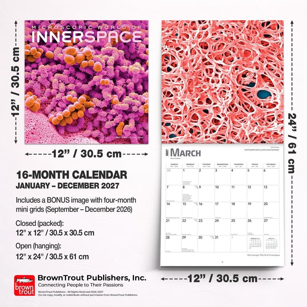 Innerspace 2027 Wall Calendar Sixth Alternate Image