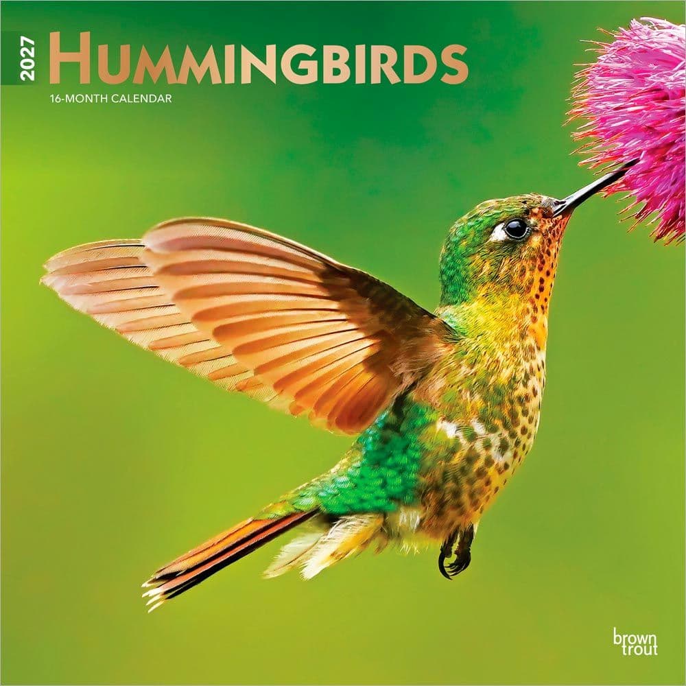 Hummingbirds 2027 Wall Calendar Main Product Image