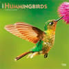 image Hummingbirds 2027 Wall Calendar Main Product Image