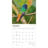 image Hummingbirds 2027 Wall Calendar Second Alternate Image