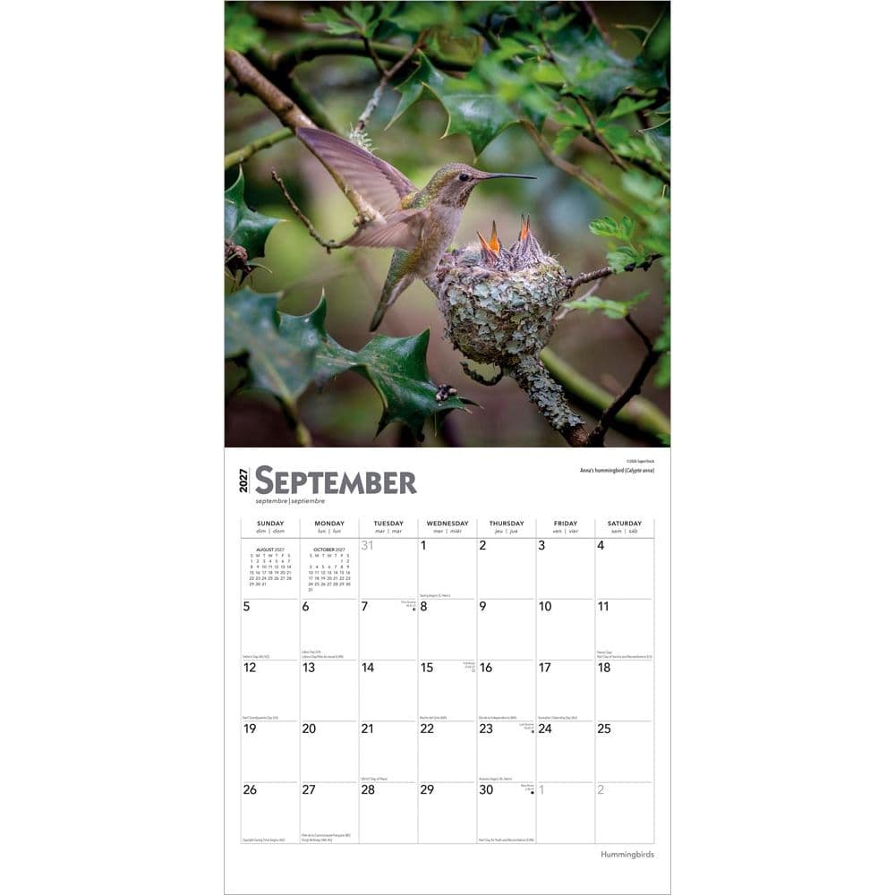 Hummingbirds 2027 Wall Calendar Third Alternate Image