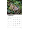 image Hummingbirds 2027 Wall Calendar Third Alternate Image