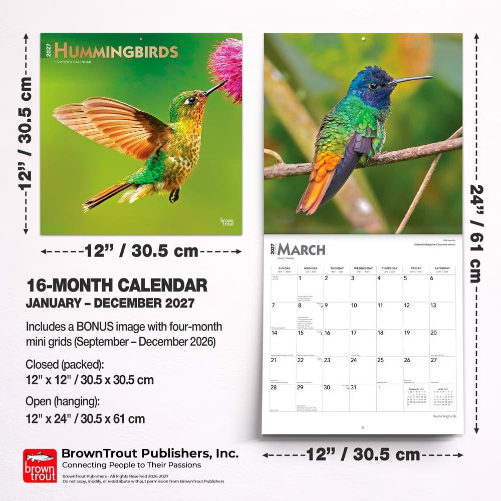Hummingbirds 2027 Wall Calendar Sixth Alternate Image