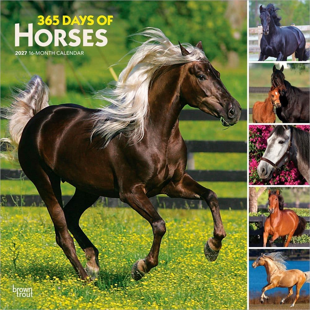 Horses 365 Days 2027 Wall Calendar Main Product Image