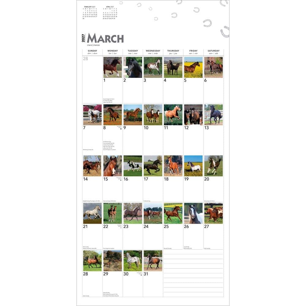 Horses 365 Days 2027 Wall Calendar Second Alternate Image