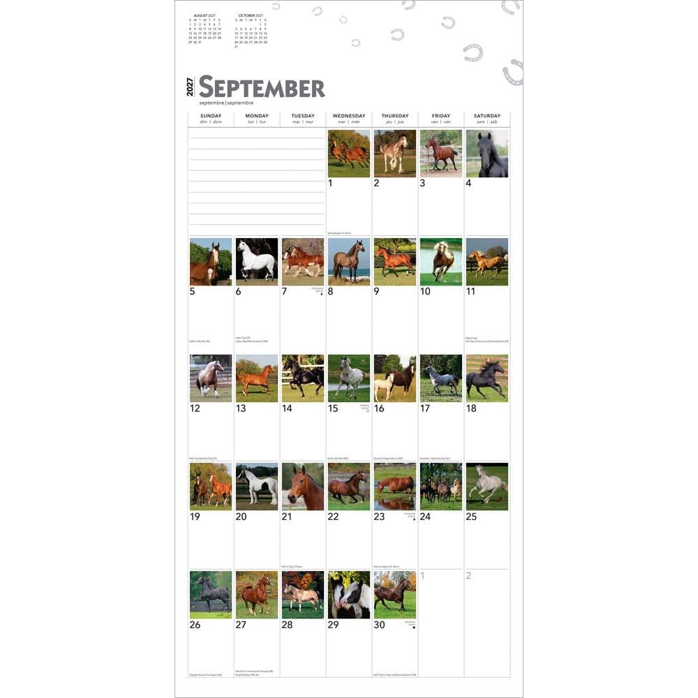 Horses 365 Days 2027 Wall Calendar Third Alternate Image