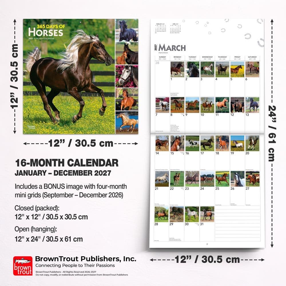 Horses 365 Days 2027 Wall Calendar Sixth Alternate Image