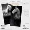 image Horse Noble Portrait Series 2027 Wall Calendar First Alternate Image