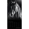 image Horse Noble Portrait Series 2027 Wall Calendar Second Alternate Image