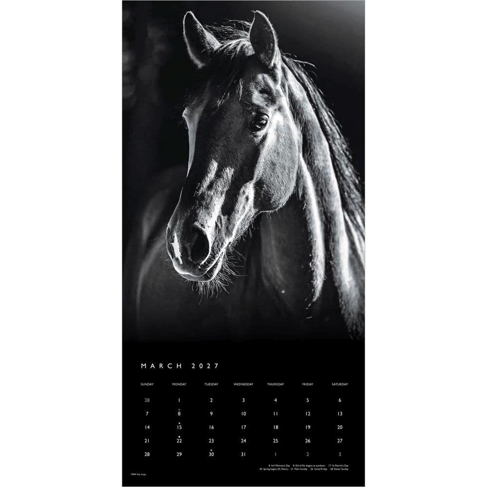 Horse Noble Portrait Series 2027 Wall Calendar Second Alternate Image