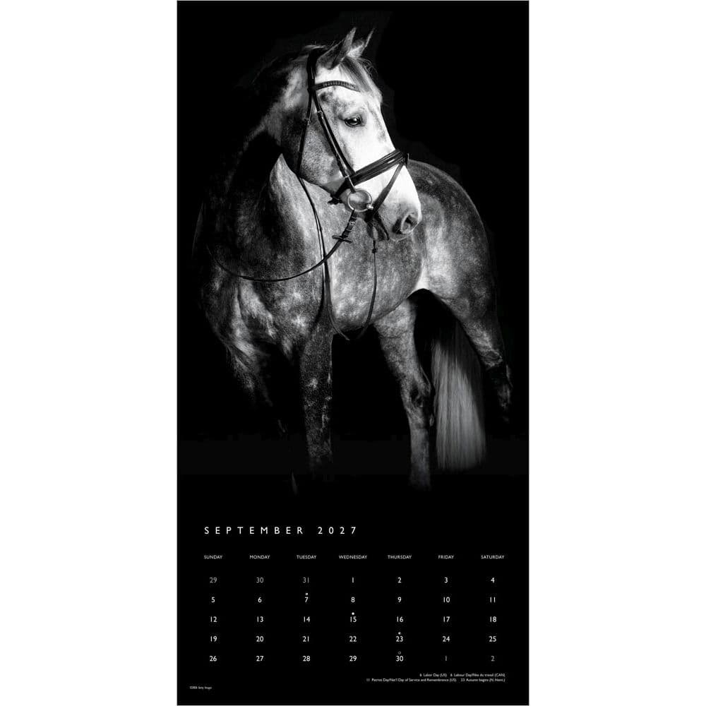 Horse Noble Portrait Series 2027 Wall Calendar Third Alternate Image