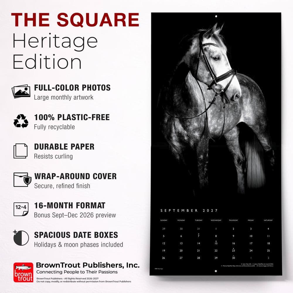 Horse Noble Portrait Series 2027 Wall Calendar Fifth Alternate Image