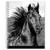 image Noble Horses Portrait Series 2027 Engagement Planner Main Product Image