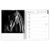 image Noble Horses Portrait Series 2027 Engagement Planner Second Alternate Image