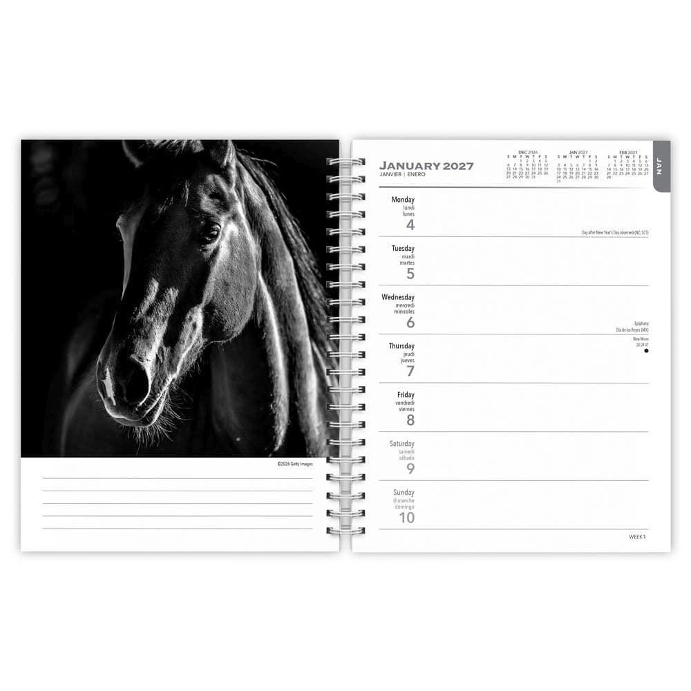 Noble Horses Portrait Series 2027 Engagement Planner Second Alternate Image