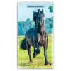 image Horses Lovers 2027 2 Year Pocket Planner Main Product Image
