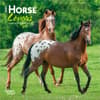 image Horses 2027 Mini Wall Calendar Main Product Image