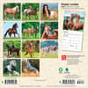 image Horses 2027 Mini Wall Calendar First Alternate Image