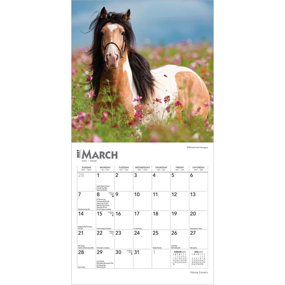 Horses 2027 Mini Wall Calendar Second Alternate Image