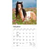 image Horses 2027 Mini Wall Calendar Second Alternate Image