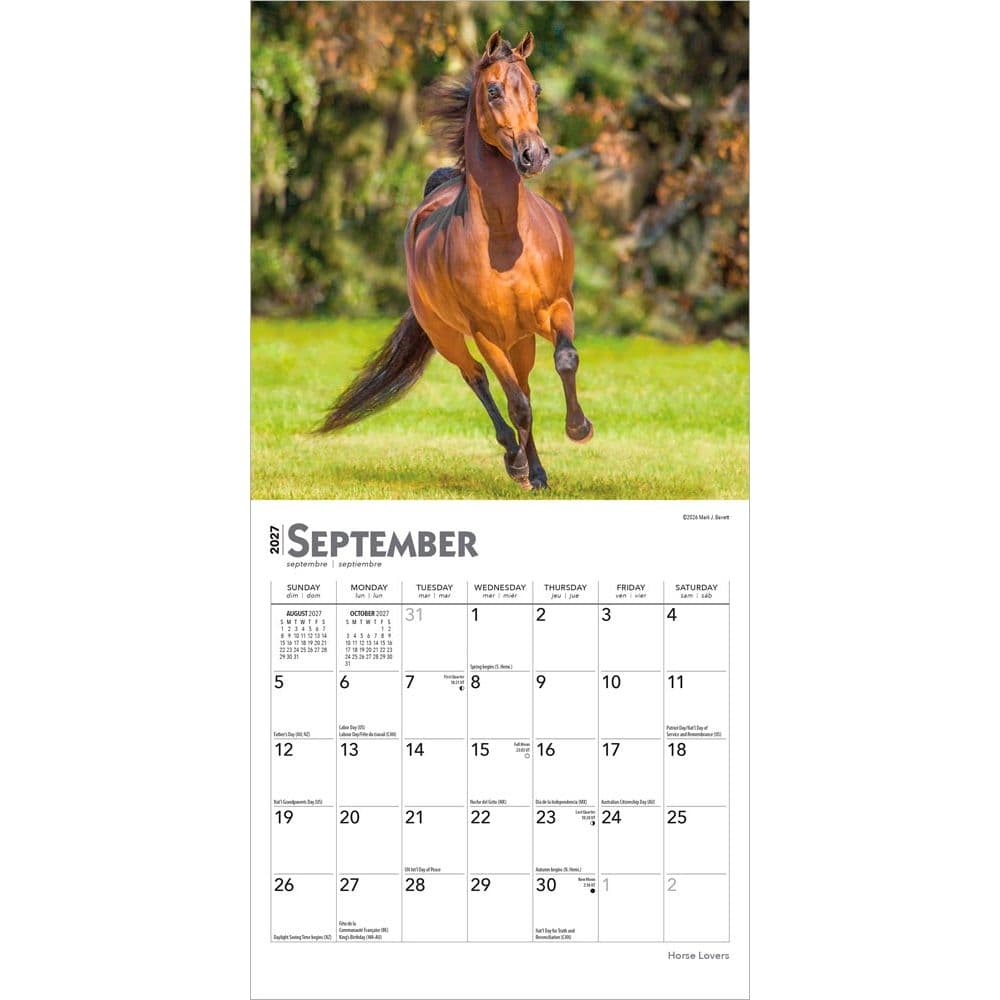Horses 2027 Mini Wall Calendar Third Alternate Image