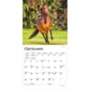 image Horses 2027 Mini Wall Calendar Third Alternate Image