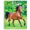 image Horses 2027 Engagement Planner Main Product Image