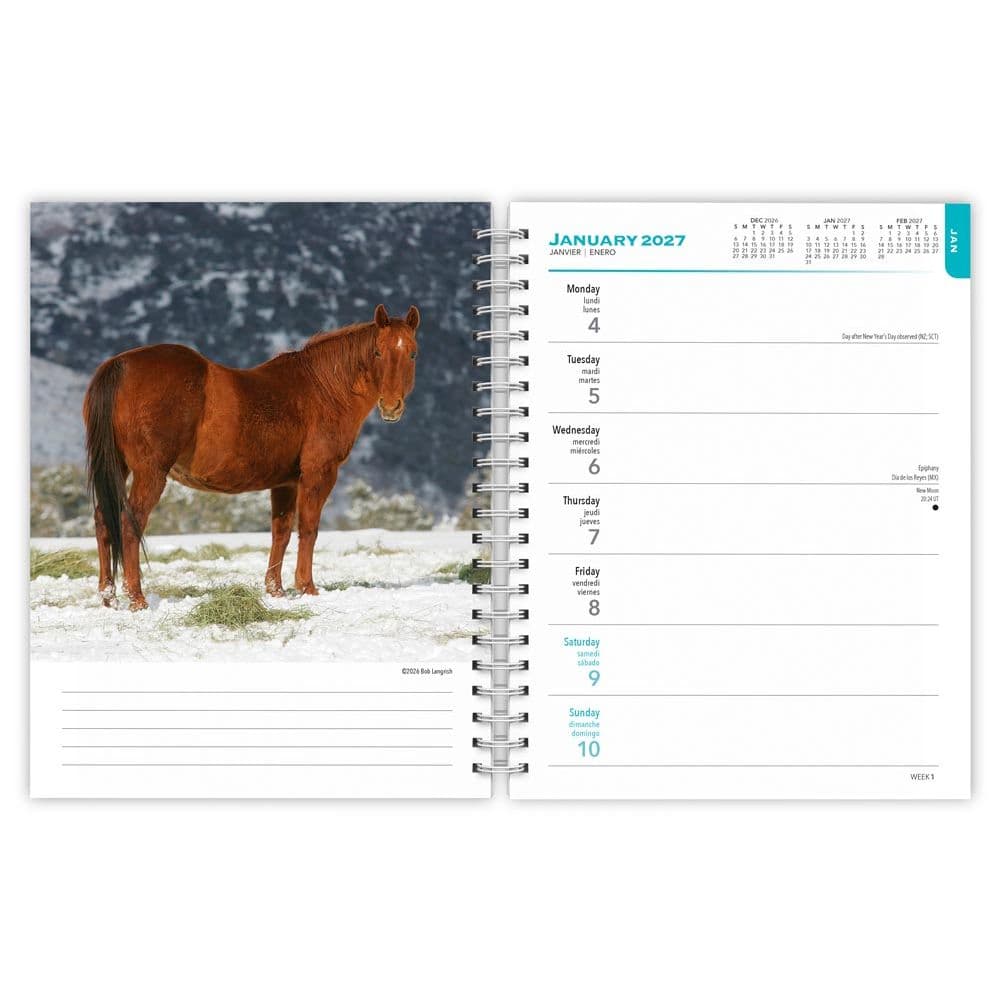 Horses 2027 Engagement Planner Second Alternate Image