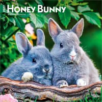 image Honey Bunny 2027 Wall Calendar Main Product Image