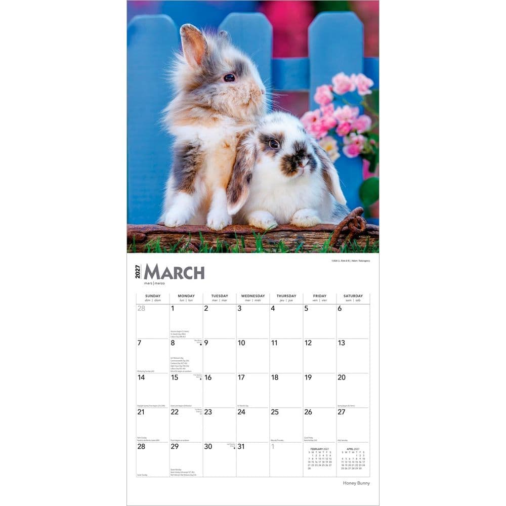 Honey Bunny 2027 Wall Calendar Second Alternate Image