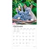 image Honey Bunny 2027 Wall Calendar Third Alternate Image