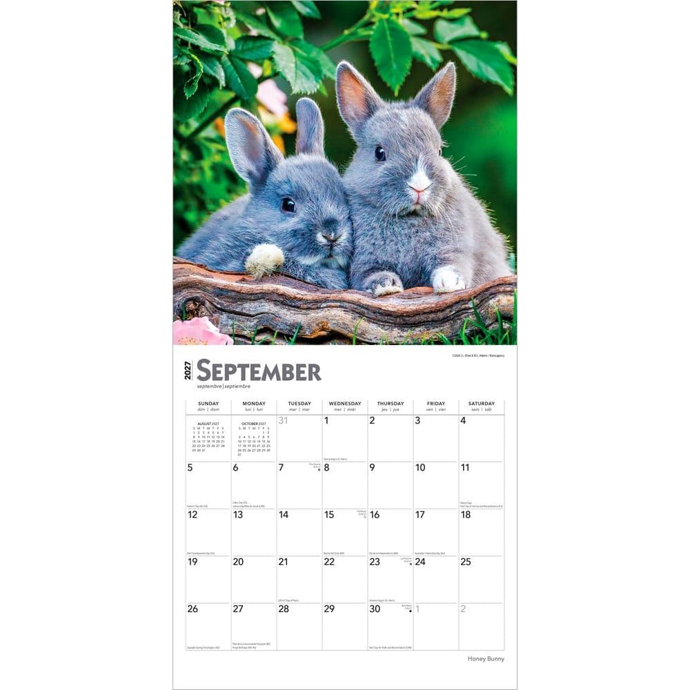 Honey Bunny 2027 Wall Calendar Third Alternate Image