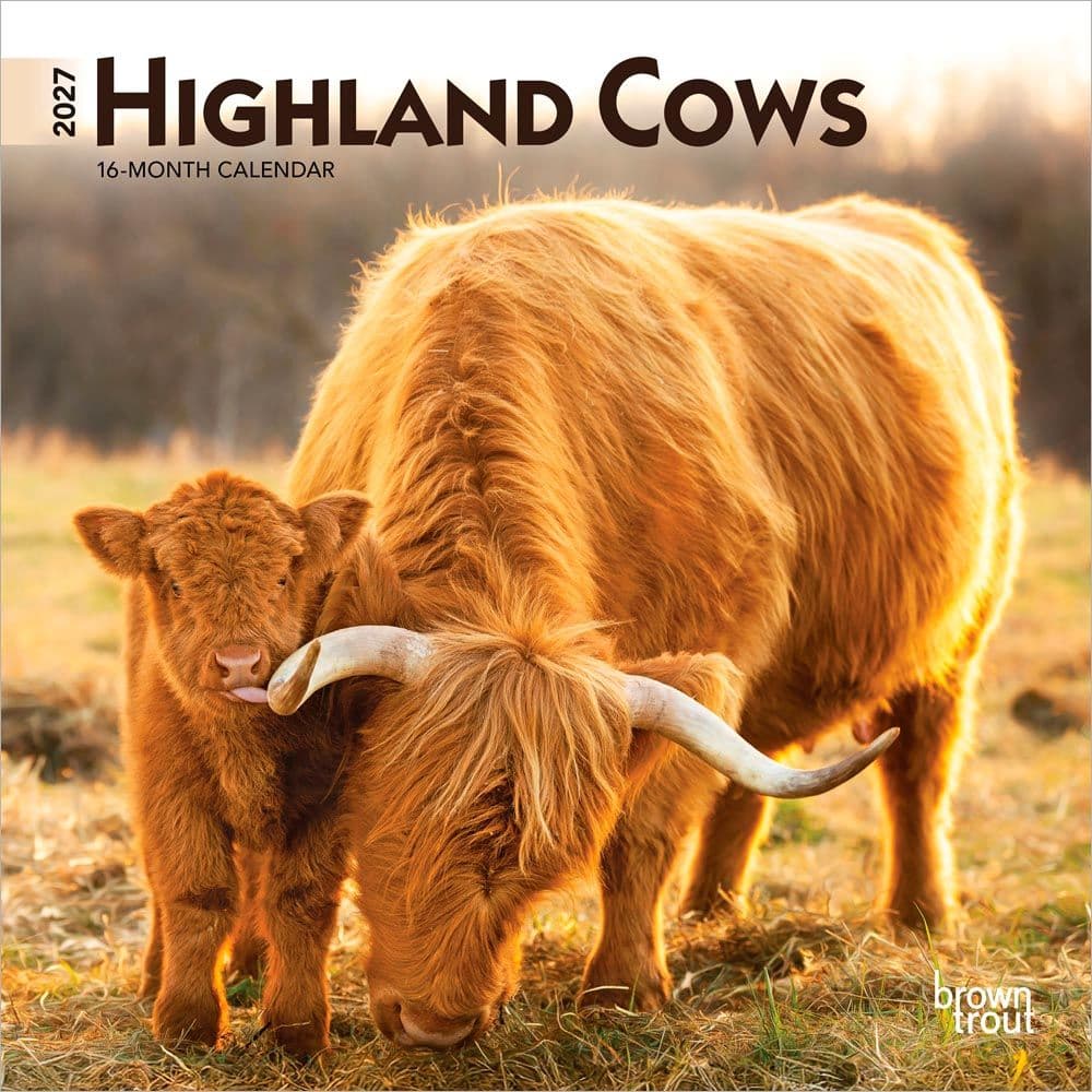 Highland Cows 2027 Mini Wall Calendar Main Product Image