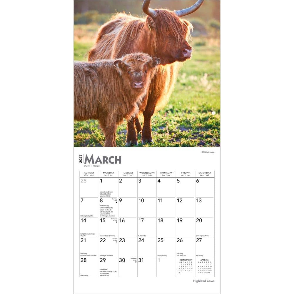 Highland Cows 2027 Mini Wall Calendar Second Alternate Image