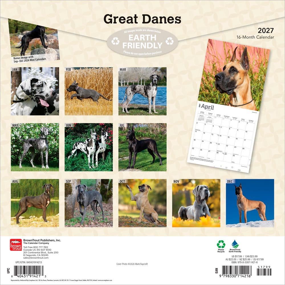 Great Danes 2027 Wall Calendar First Alternate Image