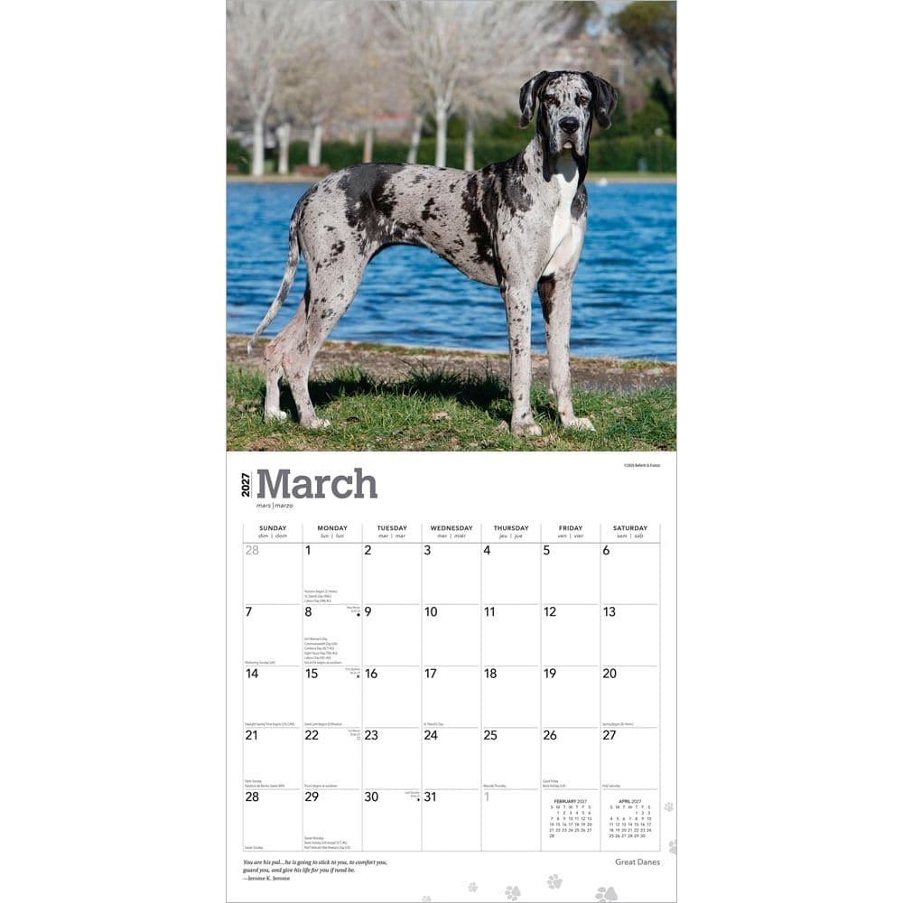 Great Danes 2027 Wall Calendar Second Alternate Image