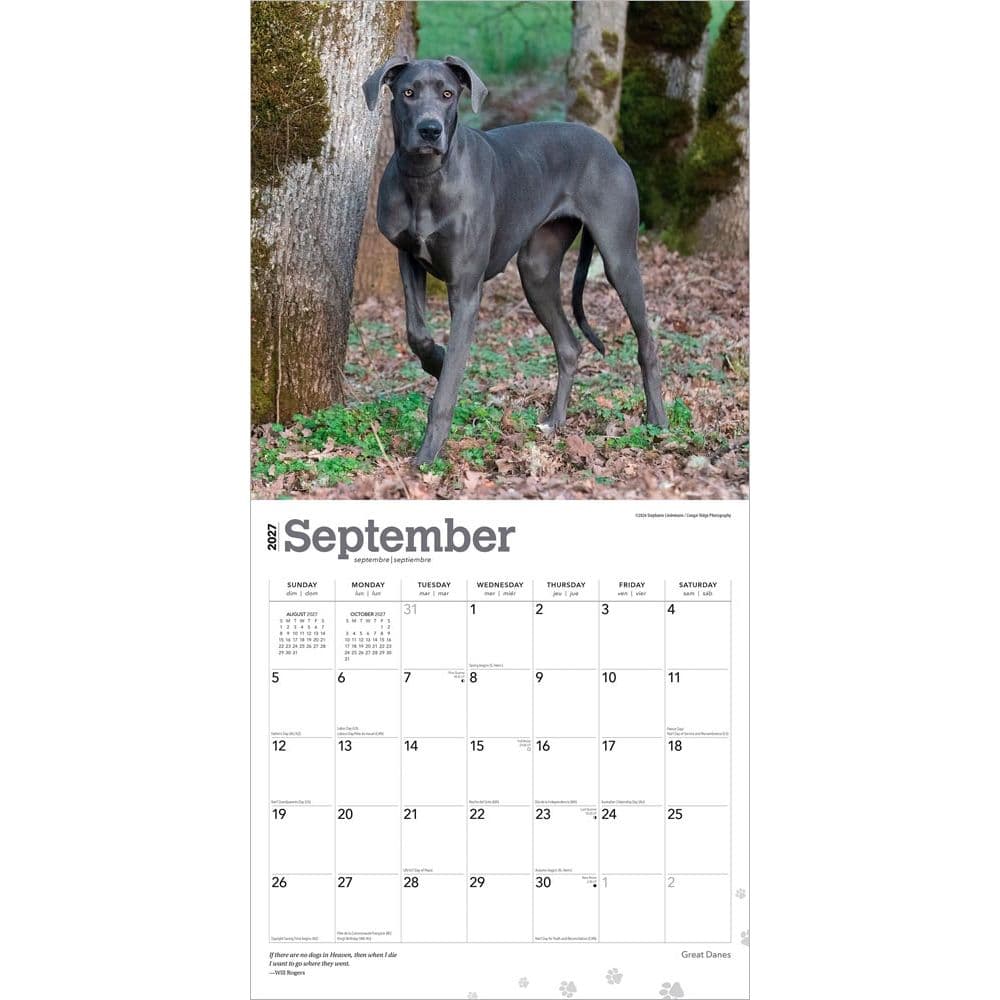 Great Danes 2027 Wall Calendar Third Alternate Image