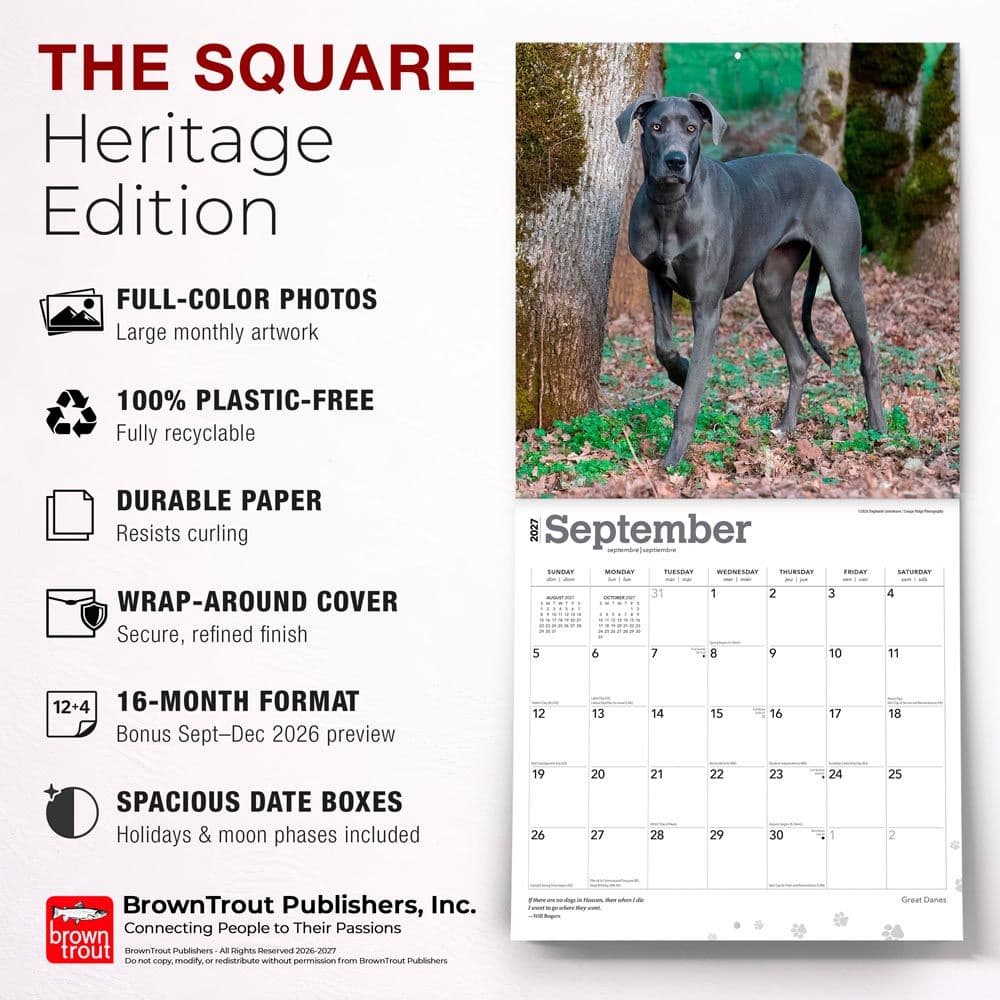Great Danes 2027 Wall Calendar Fifth Alternate Image