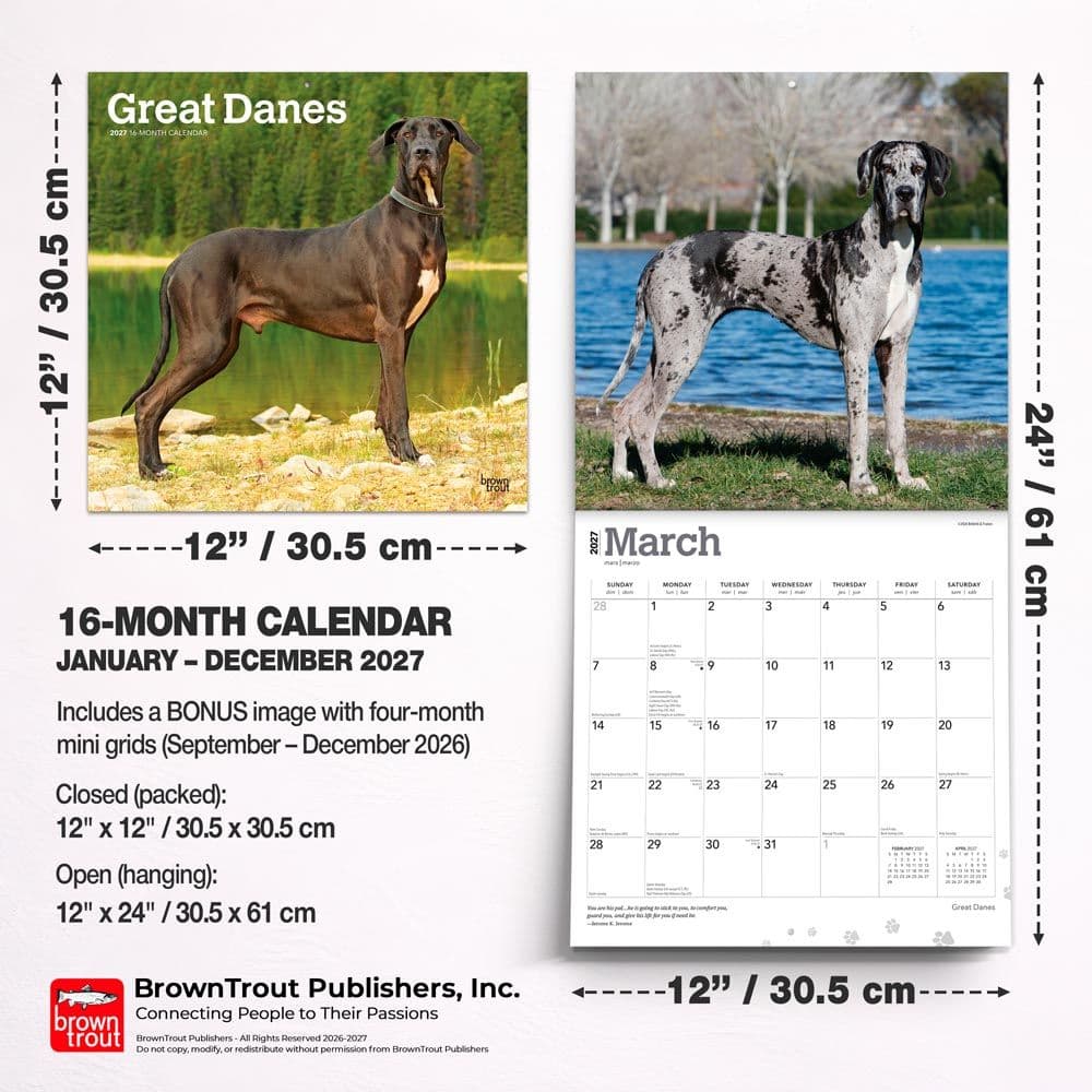 Great Danes 2027 Wall Calendar Sixth Alternate Image